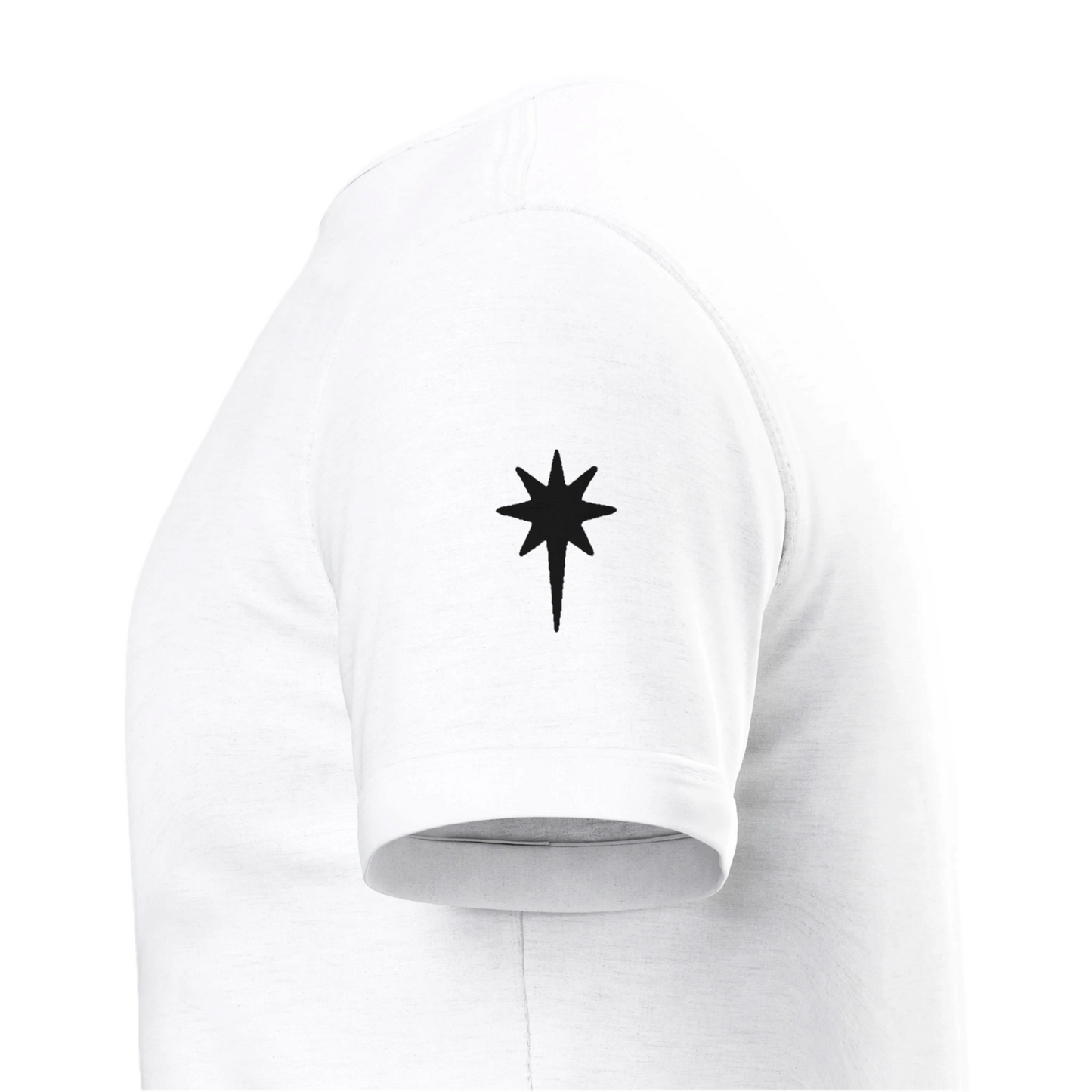 Morningstar | Heavyweight Unisex Crewneck T-shirt | Black Back Logo