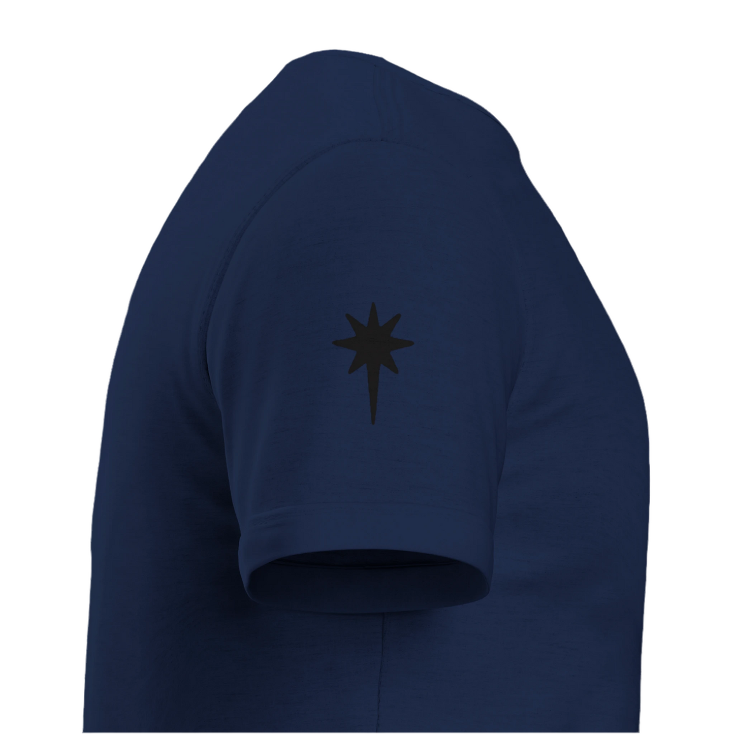 Morningstar | Heavyweight Unisex Crewneck T-shirt | Black Back Logo