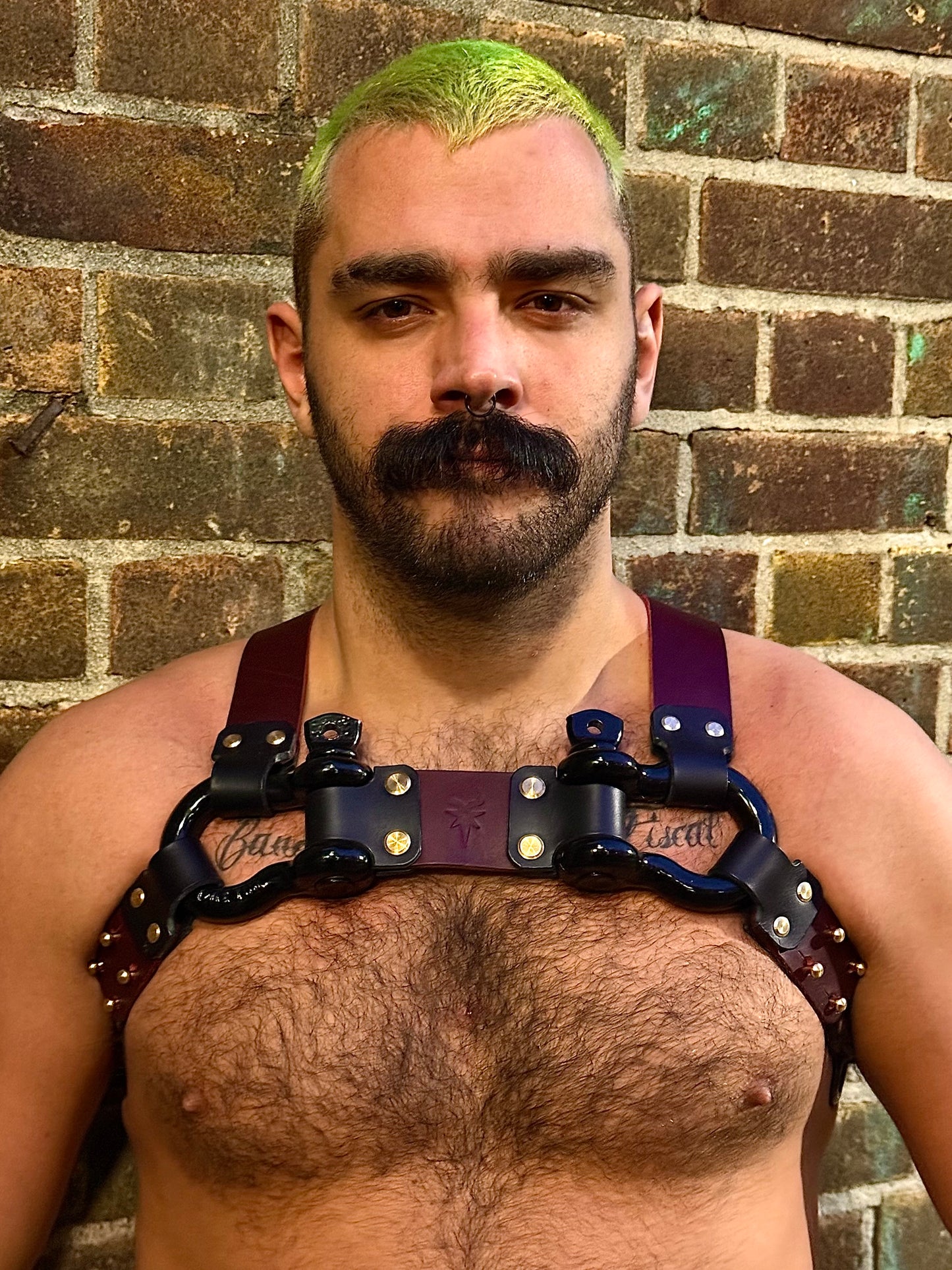 Morningstar | Lucifer Harness | Dual Leathers | Custom Shackles