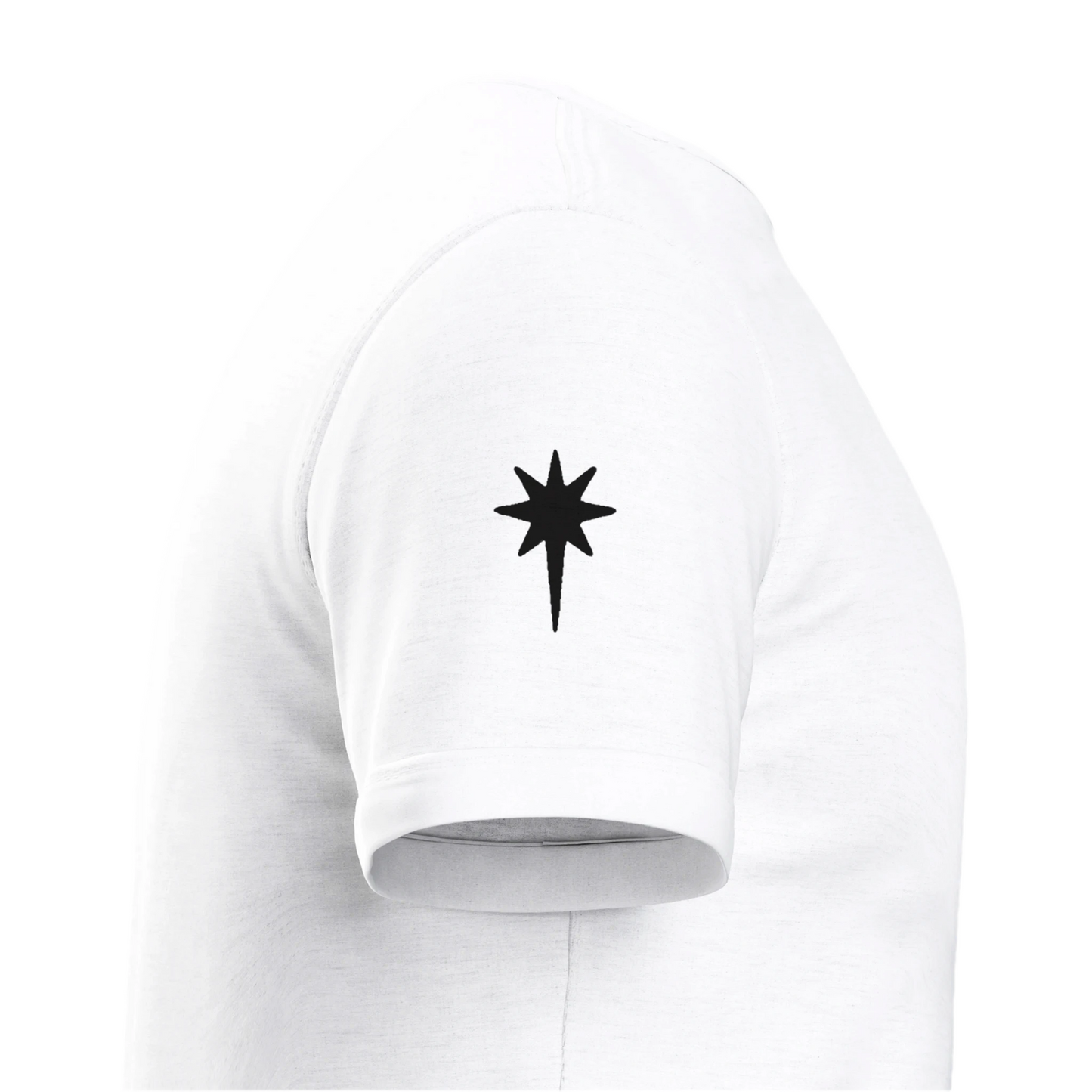 Morningstar | Heavyweight Unisex Crewneck T-shirt | Black Back Logo