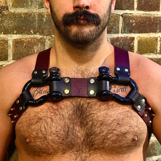 Morningstar | Lucifer Harness | Dual Leathers | Custom Shackles